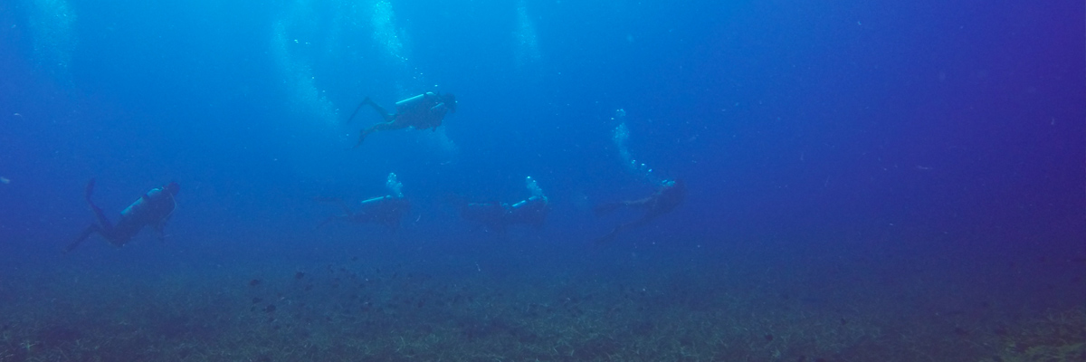 Scuba